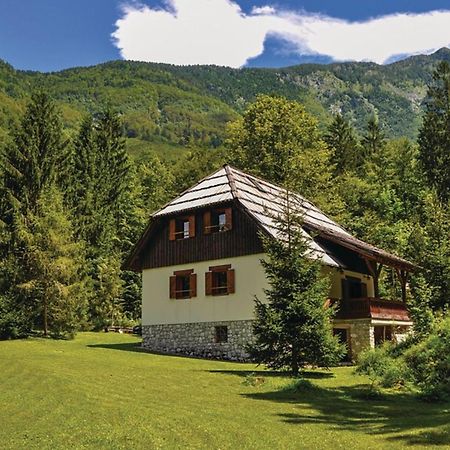 Chalet Primus Near Soca Gorge - Happy Rentals Eksteriør bilde