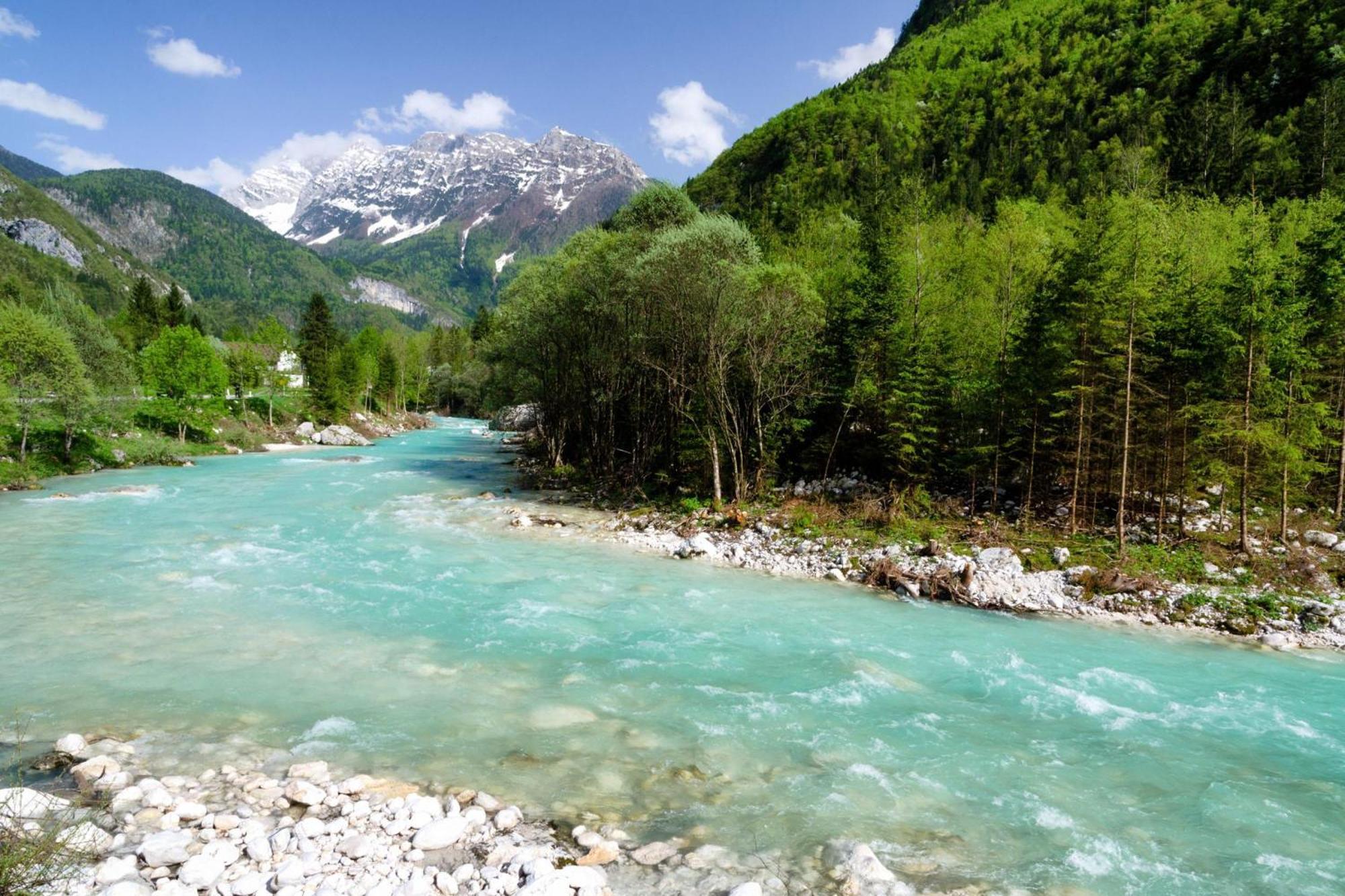 Chalet Primus Near Soca Gorge - Happy Rentals Eksteriør bilde