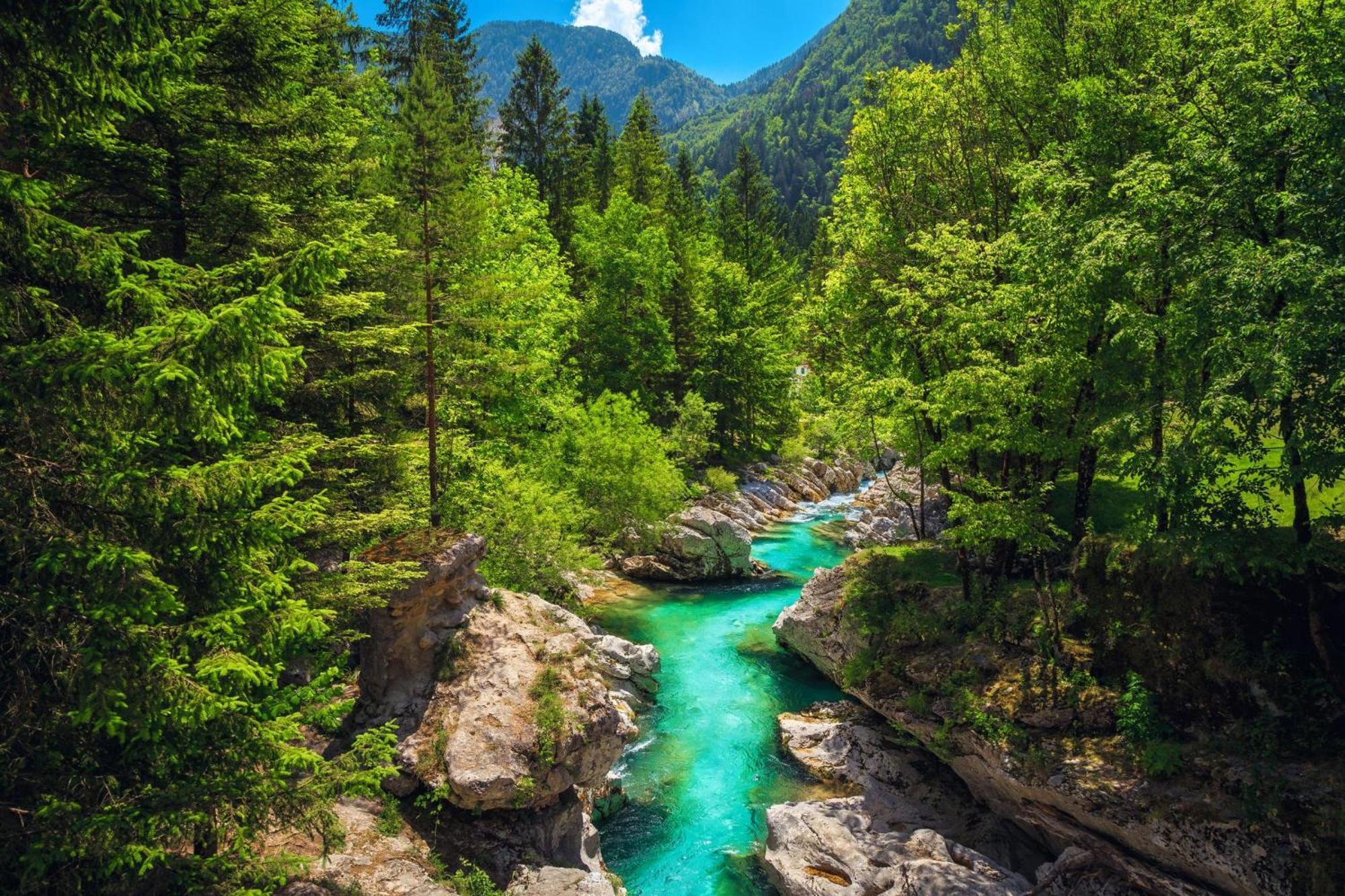 Chalet Primus Near Soca Gorge - Happy Rentals Eksteriør bilde